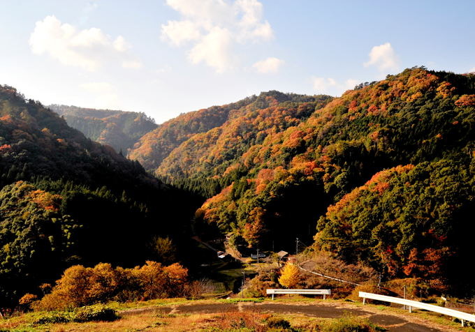 agaaki.JPG