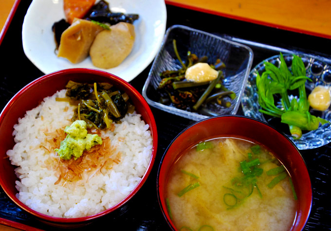 ワサビ丼