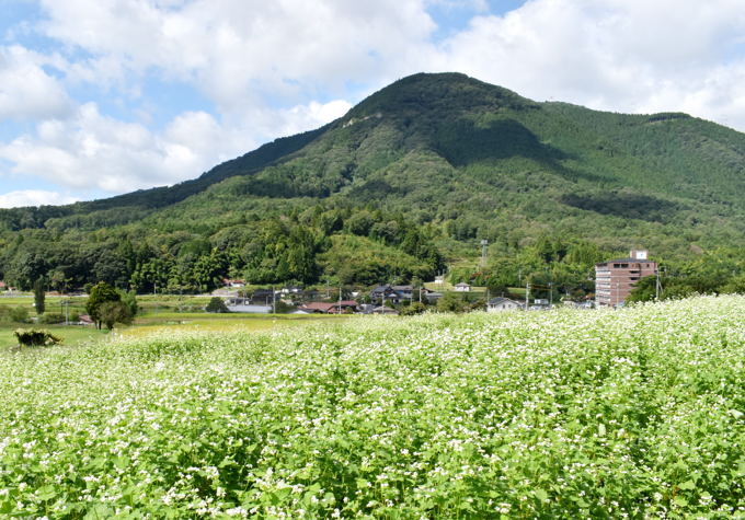 yukisoba11.JPG