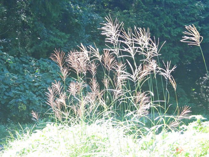 DSCN0938.JPG