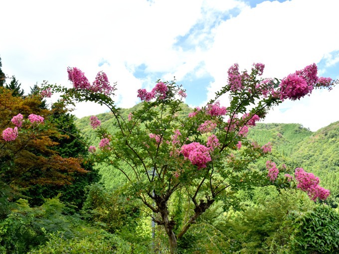 DSC_000680.JPG