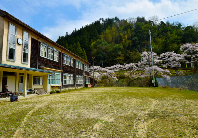 hondani45.JPG