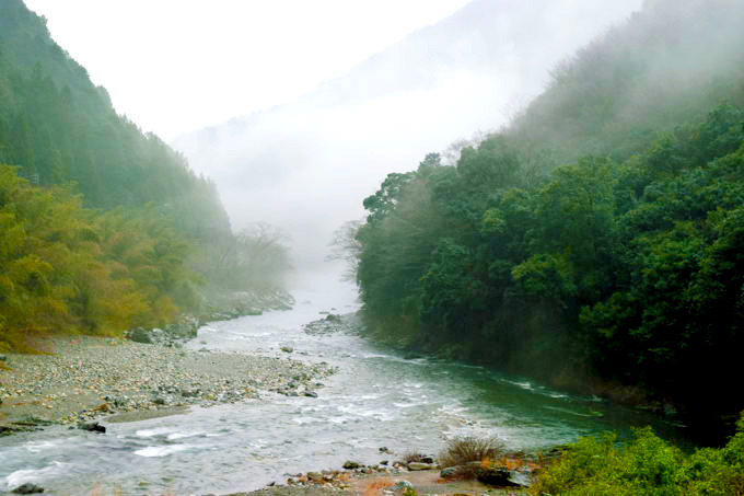 nishikigadeai.jpg