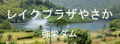 reikuyasaka.jpg